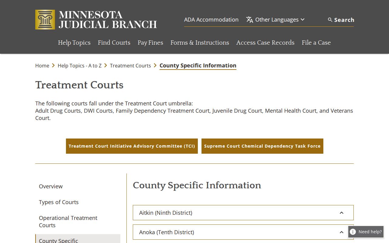 Redwood County criminal docket treatment court information